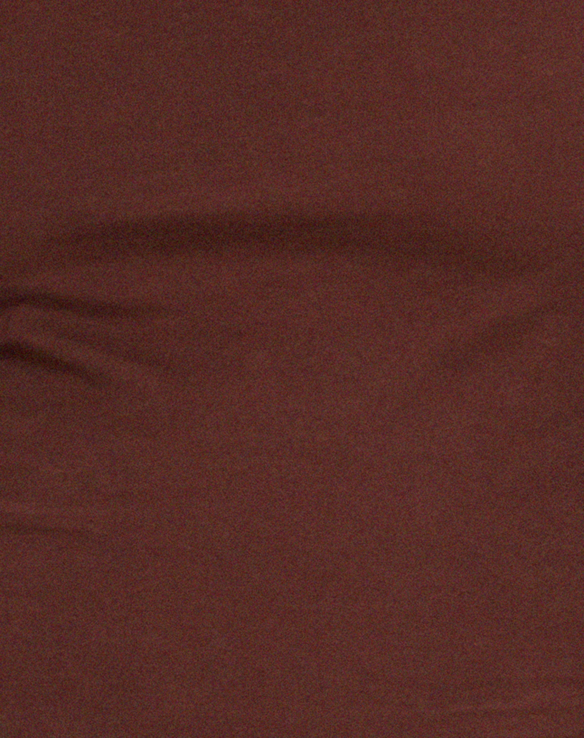Bonja Long Sleeve Top in Seal Brown