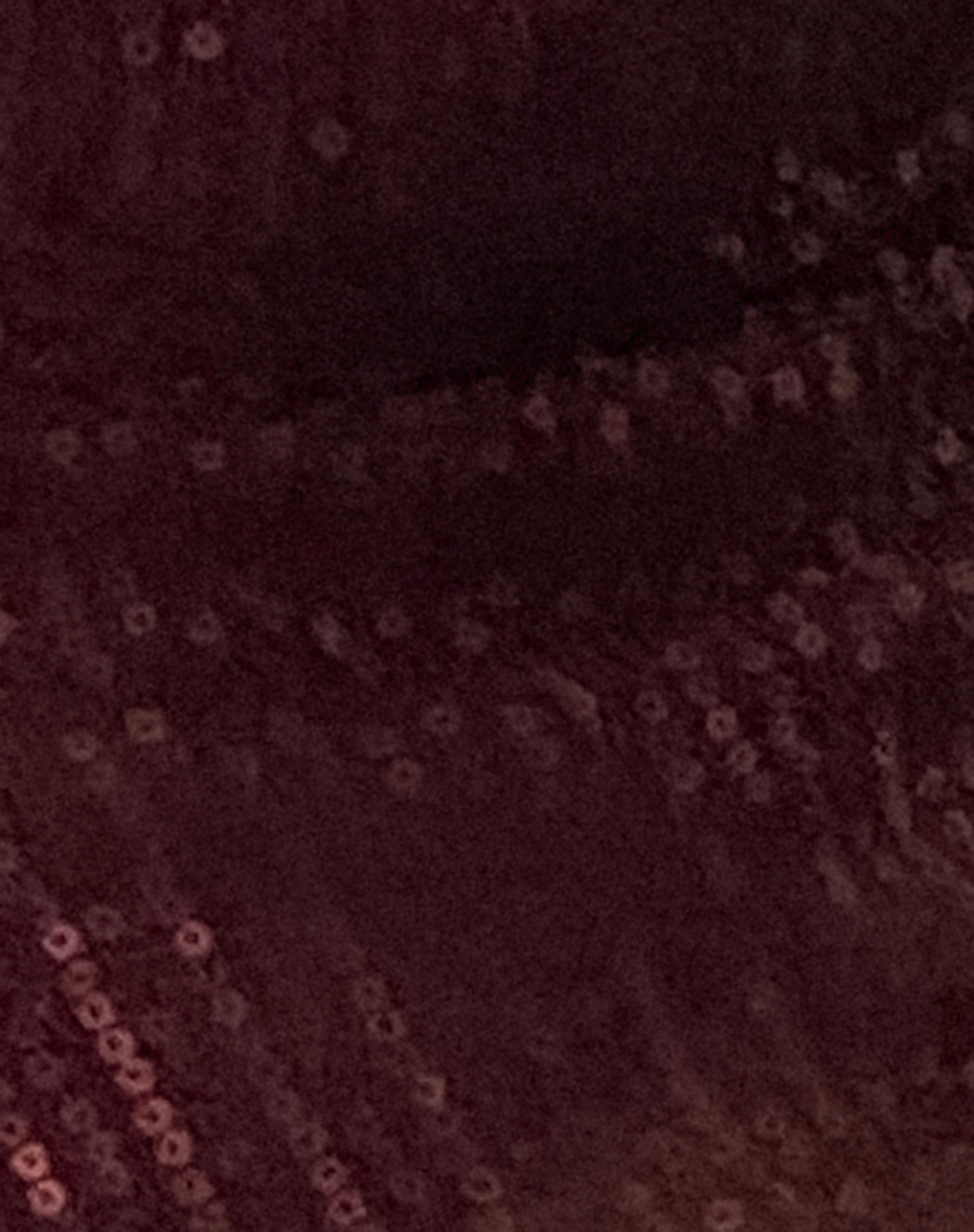 Cojira Butterfly Top in Sequin Burgundy