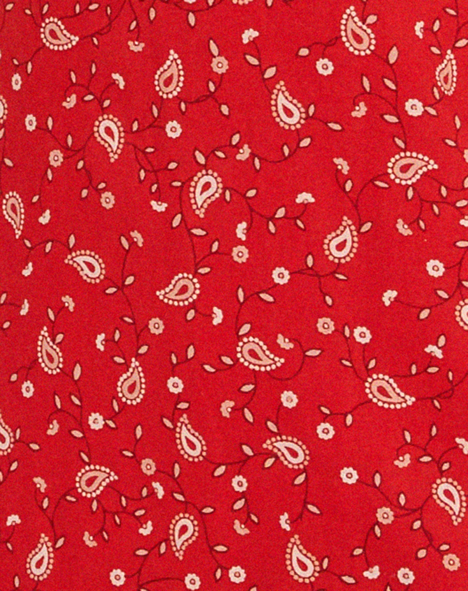 Eluned Day Dress in Paisley Fun Red
