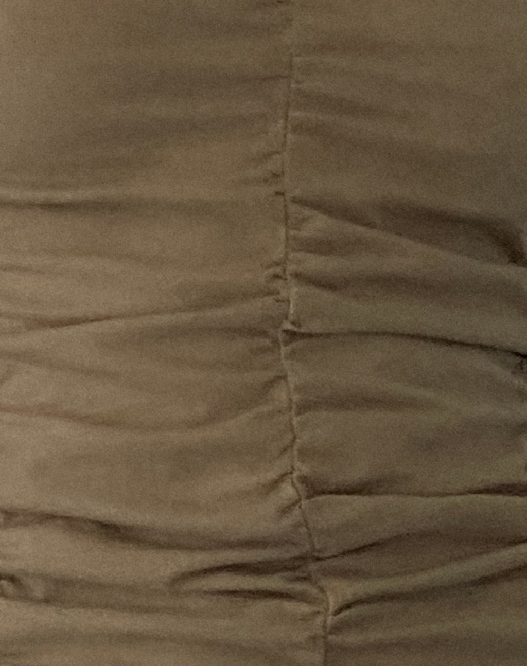 Gryae Ruched Front Top in Biscotti