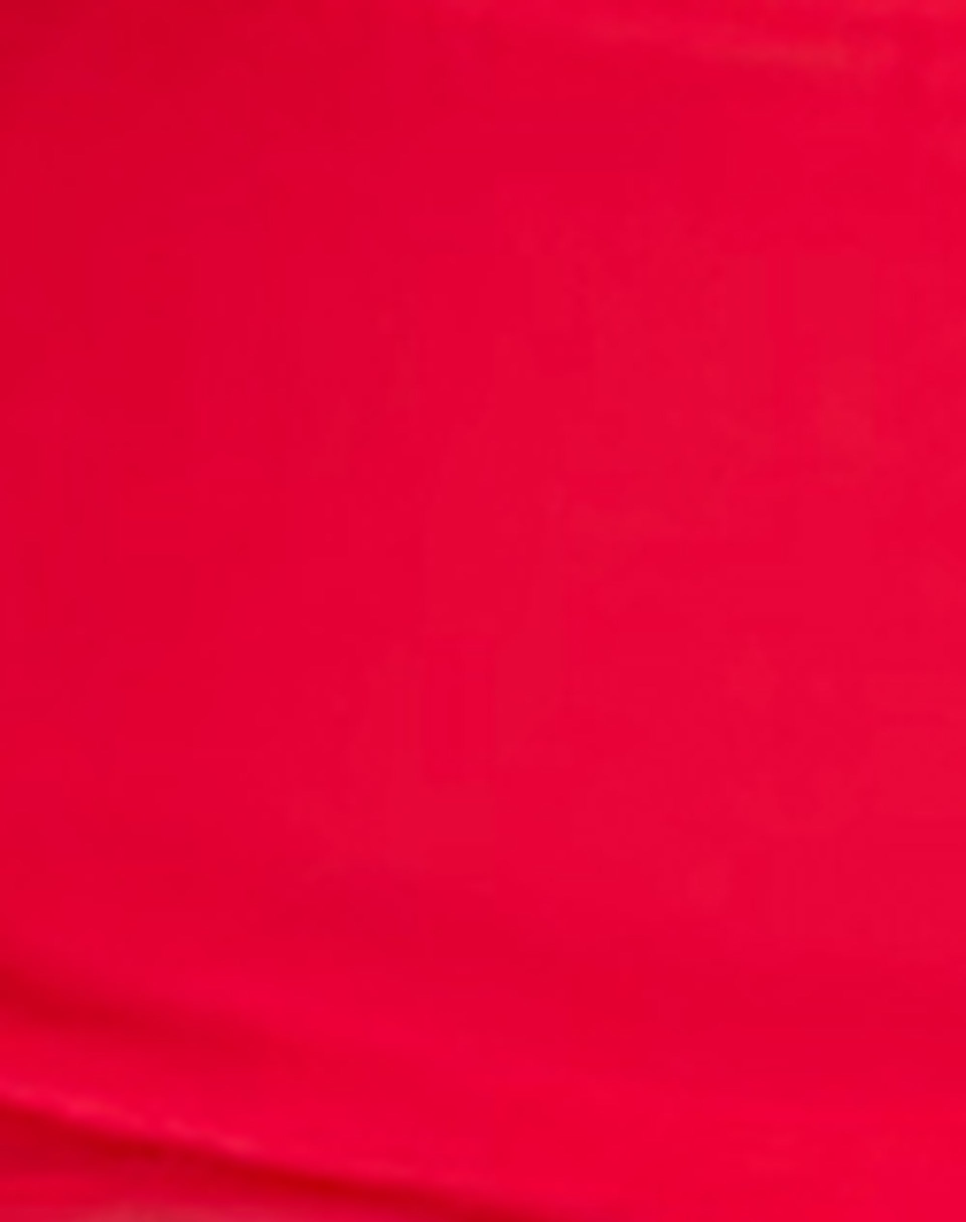 Yargo Mesh Sarong in Scarlet Red