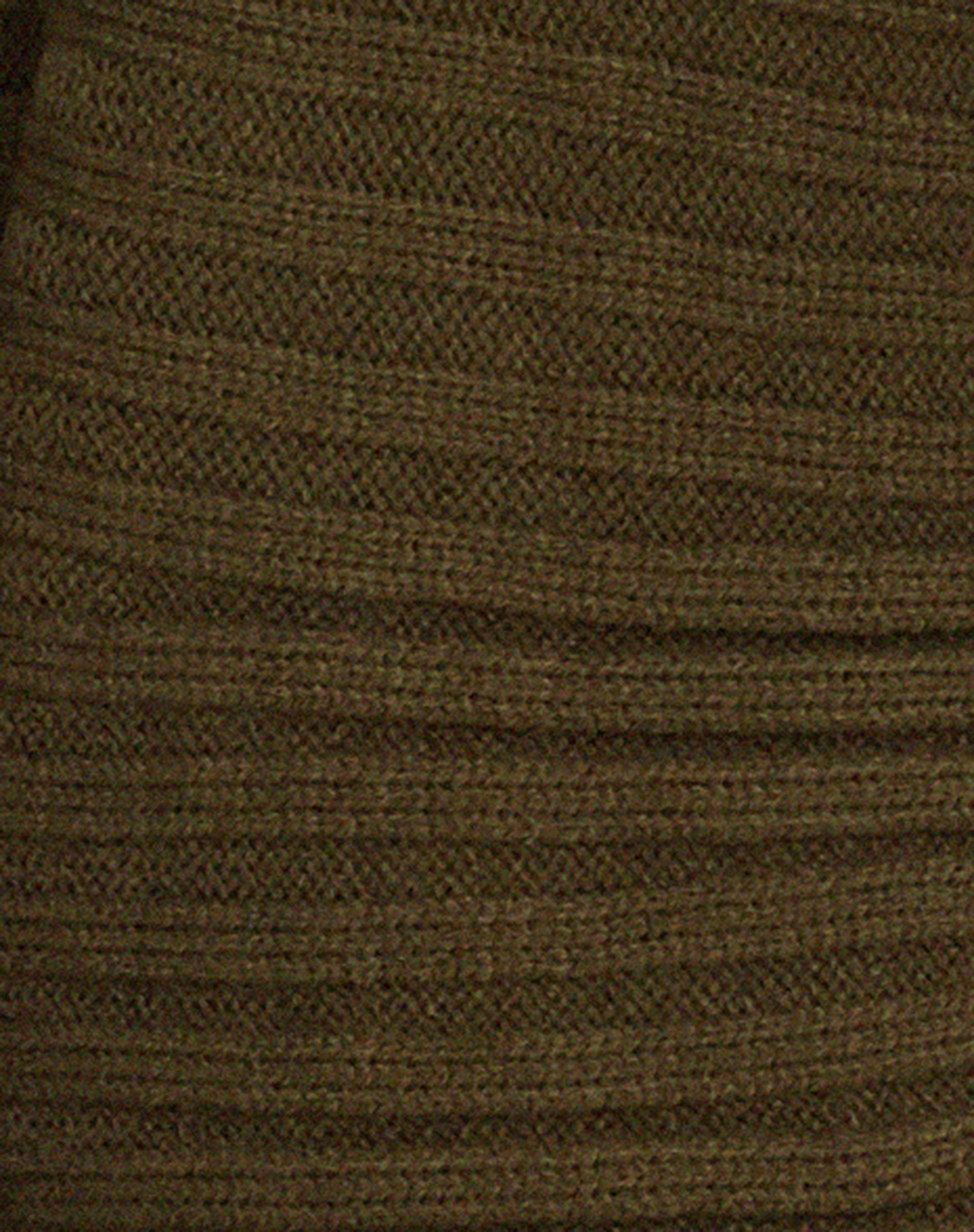 Penelope Cardi in Deep Olive