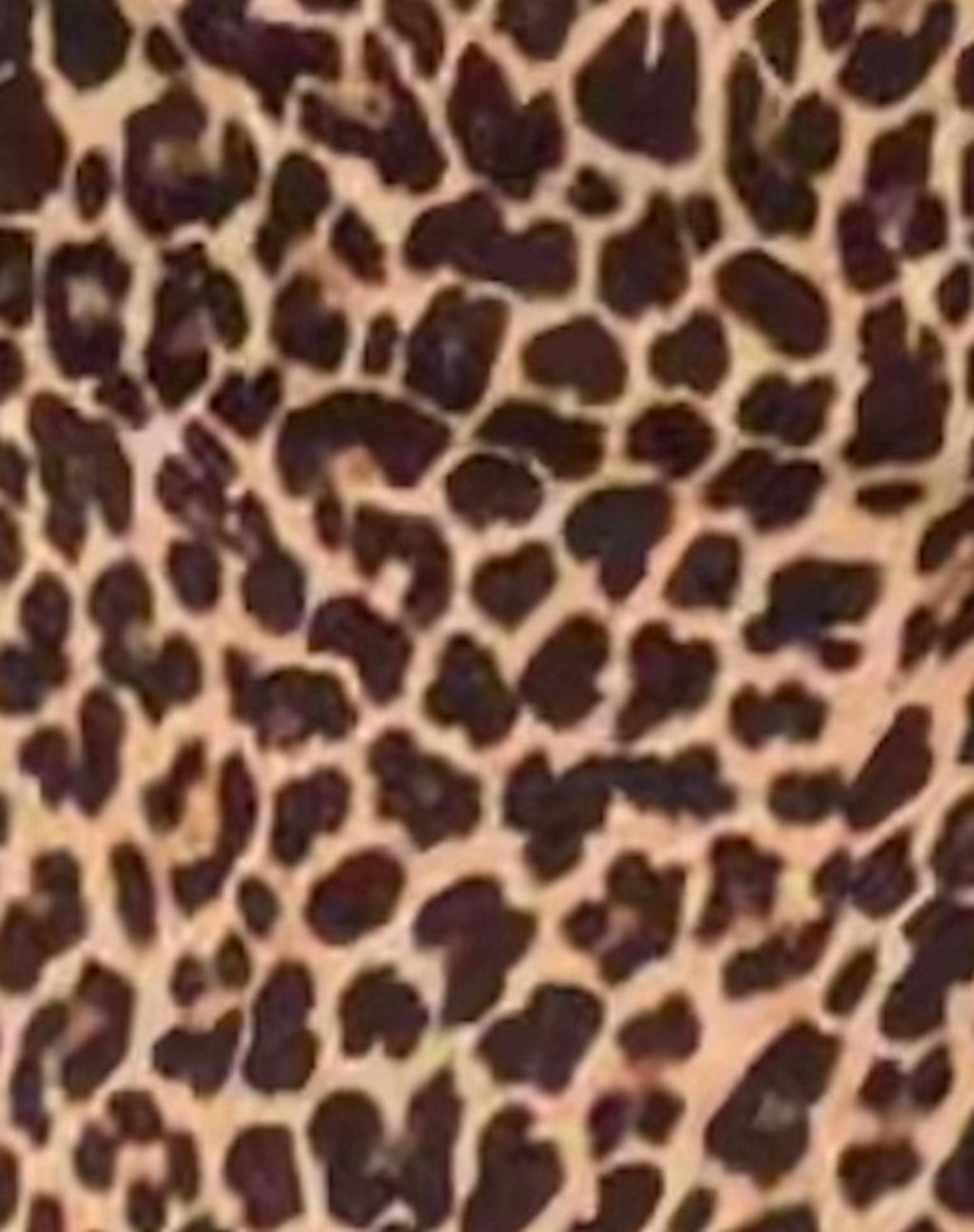 Pravara Mini Skirt in Leopard Print