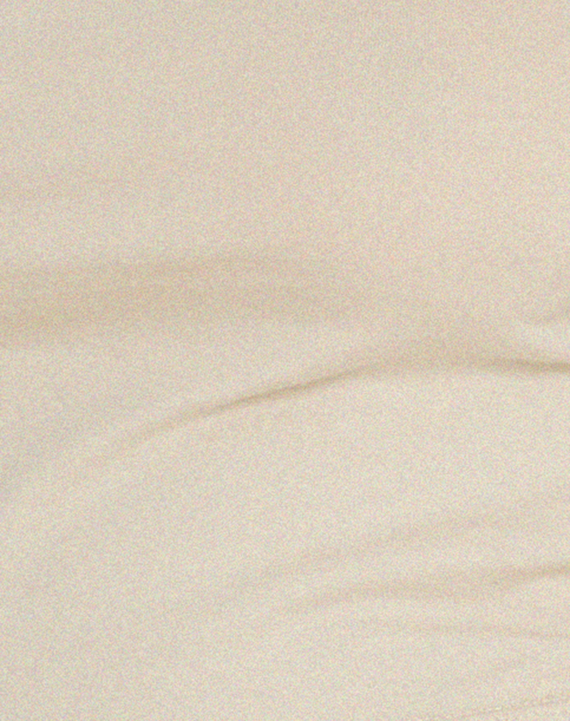 Raccet Long Sleeve Crop Top in Coconut Milk