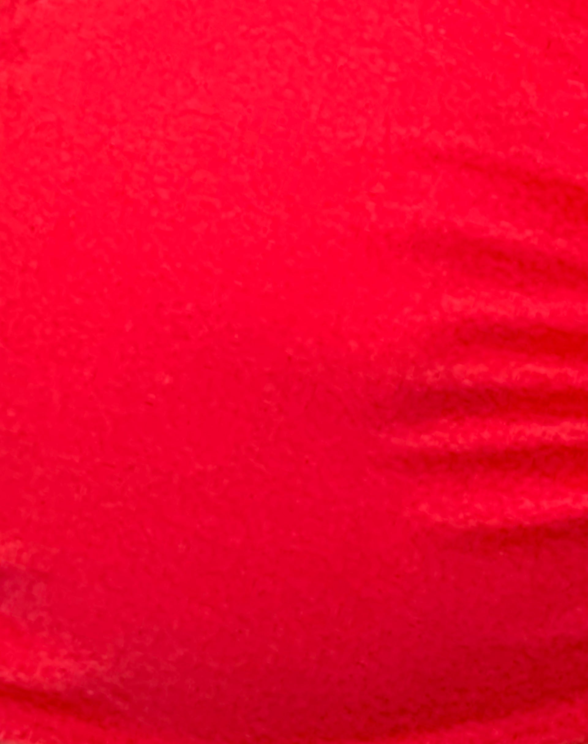 Racola Bikini Top in Scarlet Red