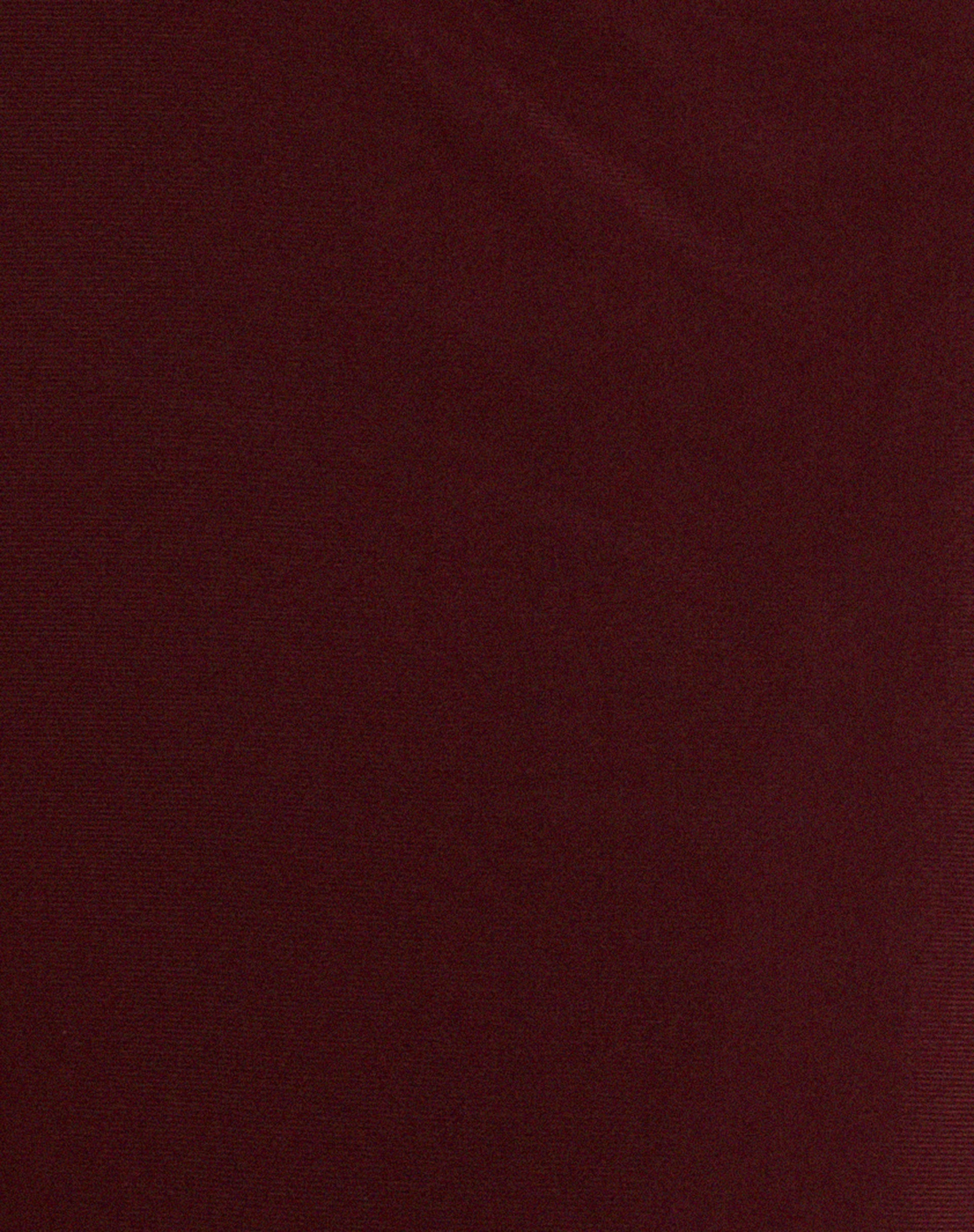 Tresha Maxi Skirt in Mesh Burgundy