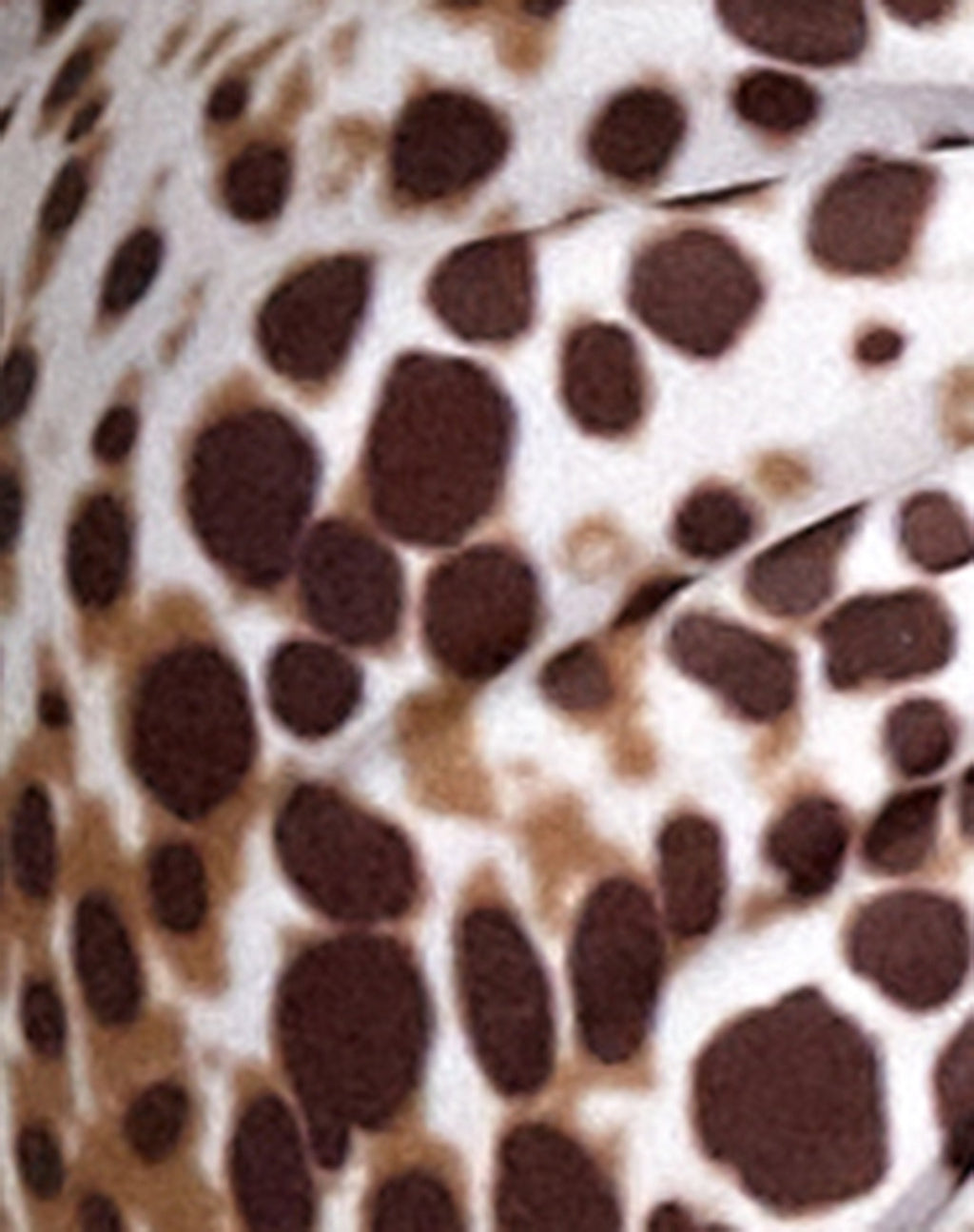 Simia Bikini Top in Sand Leopard