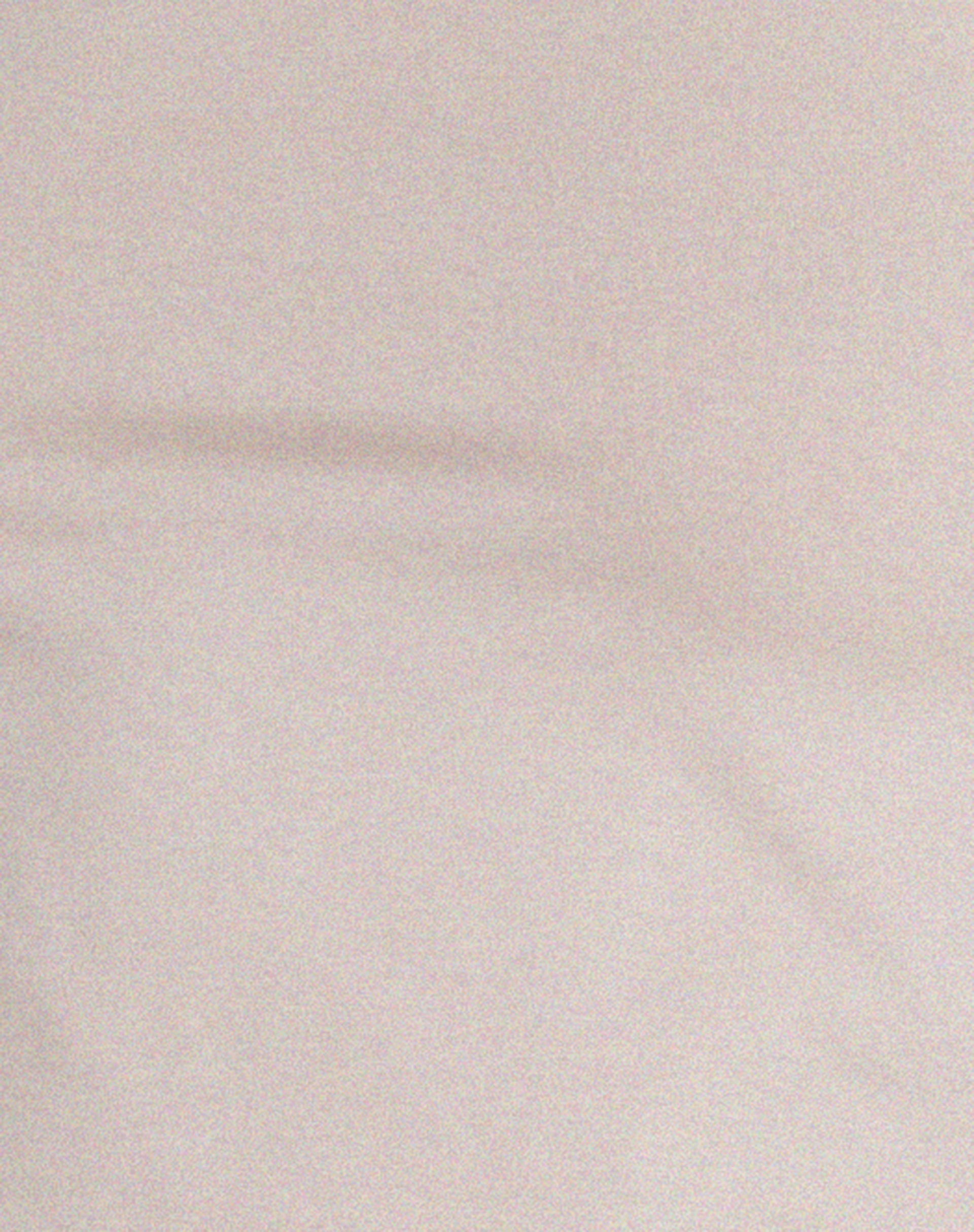 Suratmi Long Sleeve Top in Mushroom